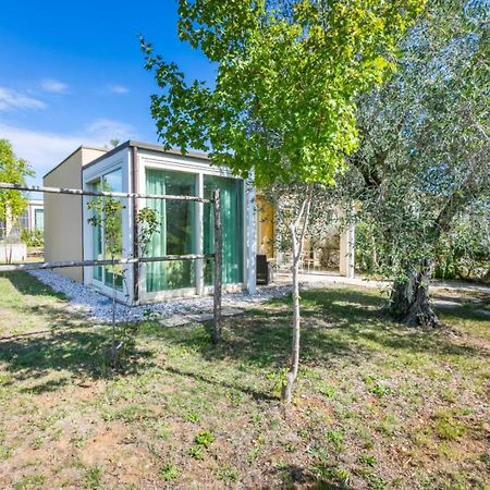 Toscana Biovillage - Private Cottage Cecina  Bagian luar foto